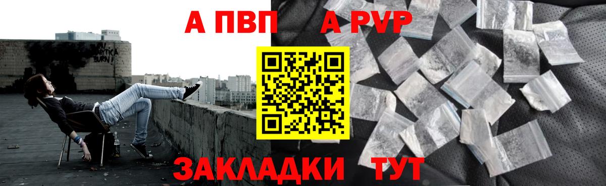 Альфа ПВП СК Сунжа