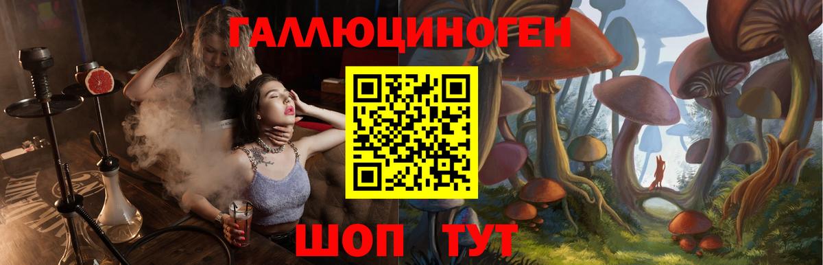 Галлюциногенные грибы GOLDEN TEACHER  Галлюциногенные грибы Psilocybine cubensis  Вход с VPN  Сунжа 