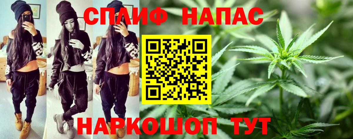 Бошки Шишки индика Сунжа